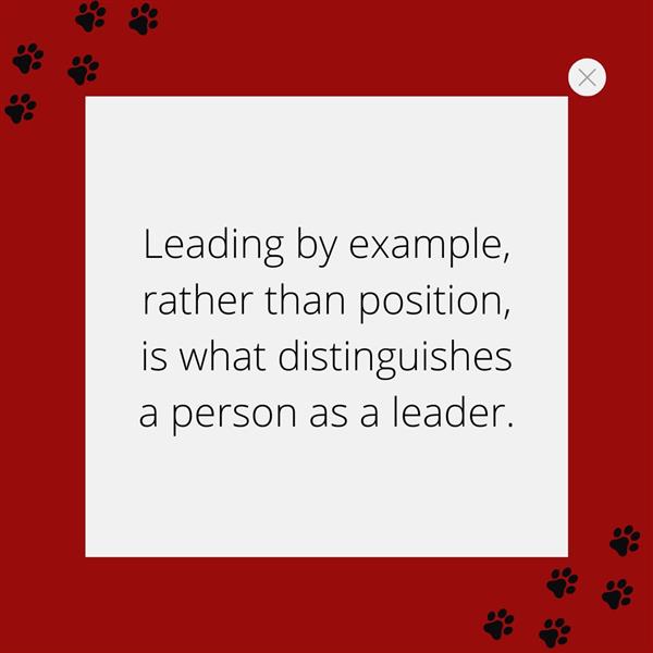 Leadership